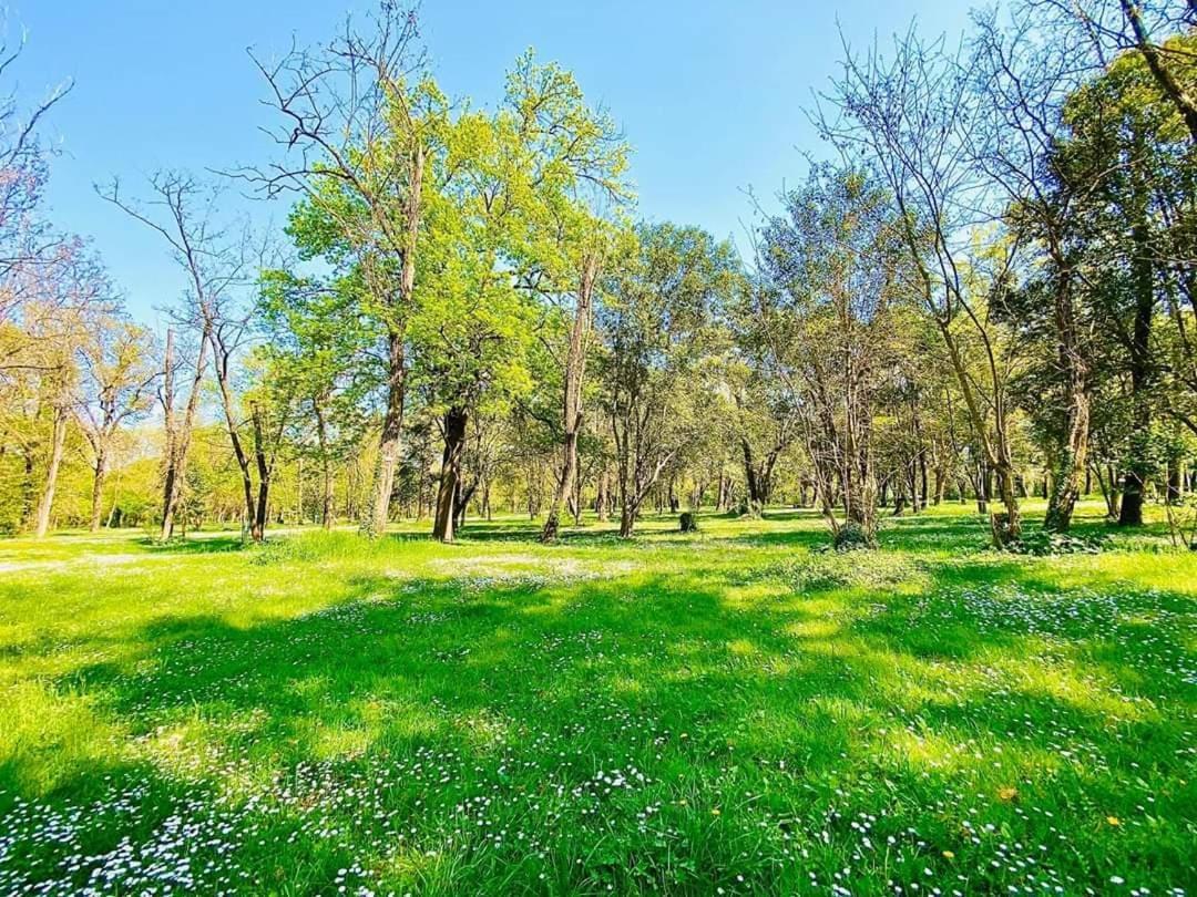 Camping Du Lion Bourg-Saint-Andéol Kültér fotó
